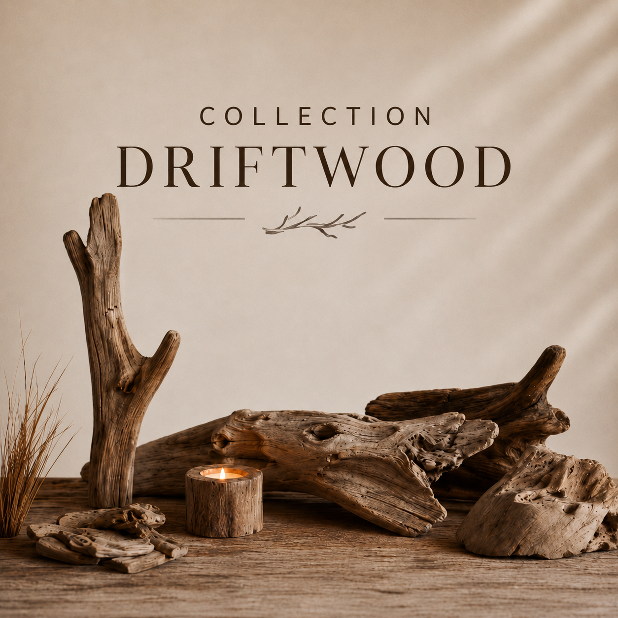 Driftwood Collection