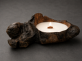 Forest Flame